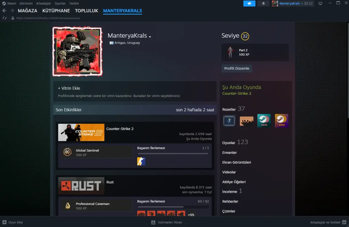 Kendi Şahsi Steam Hesabı Satıyorum