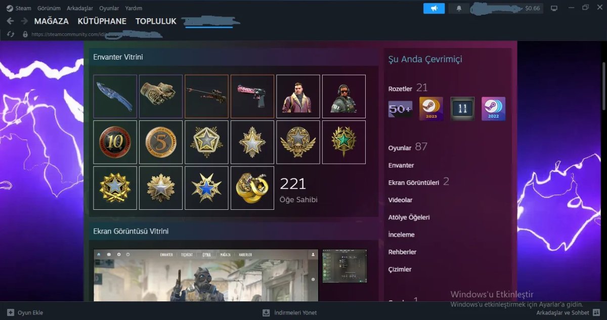 12 MADALYALI 21 ROZETLİ 11 YILLIK 82 OYUNLU CS2 BIÇAKLI ELDİVENLİ TERTEMİZ FACEİTİ YOK