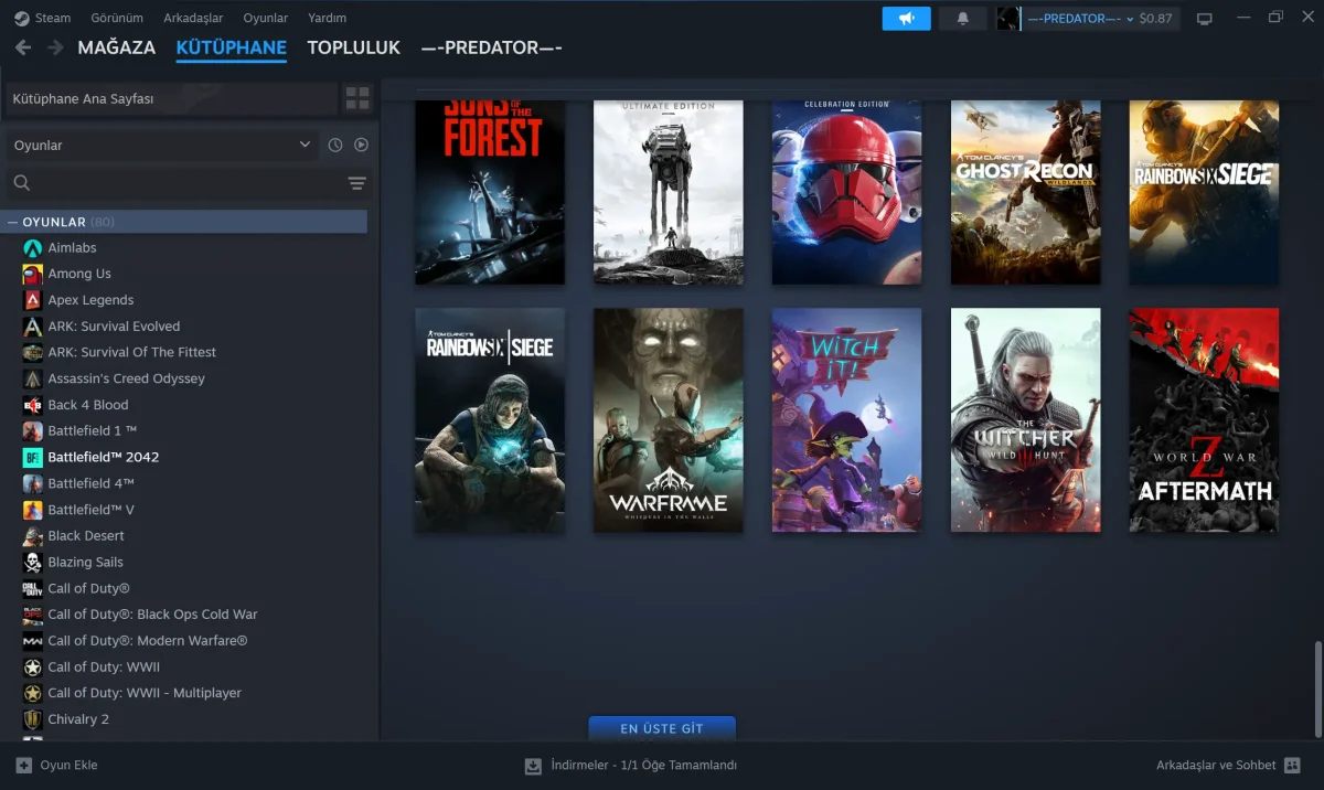 STEAM HESABI (90) OYUN