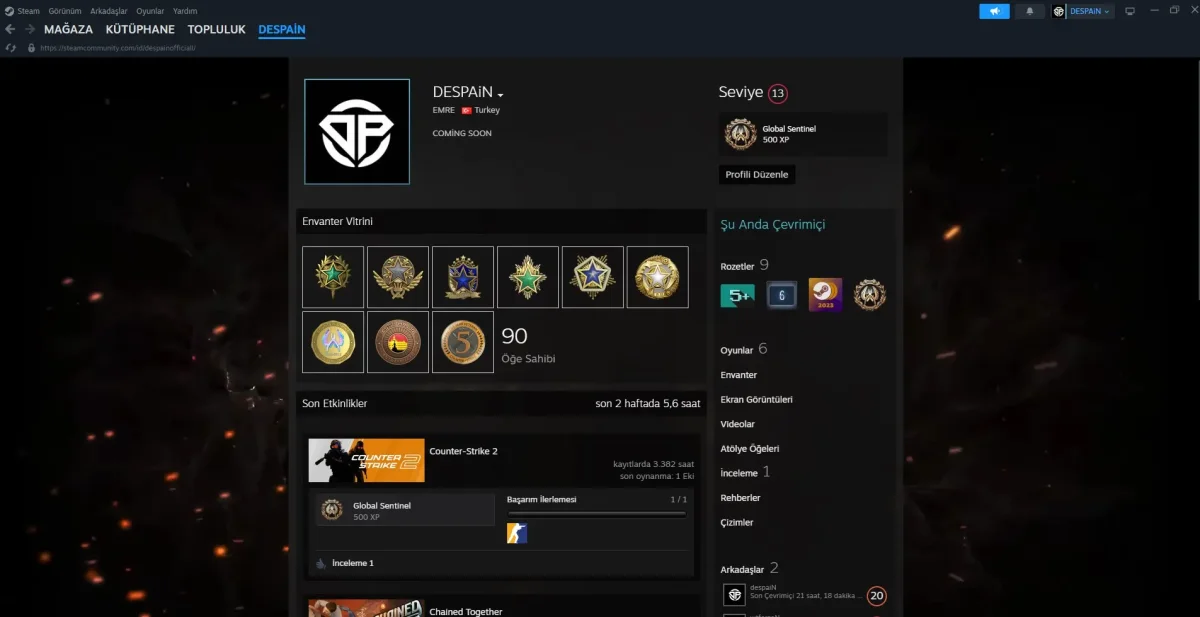 12 MADALYALI FACEİTLİ TEMİZ CS2